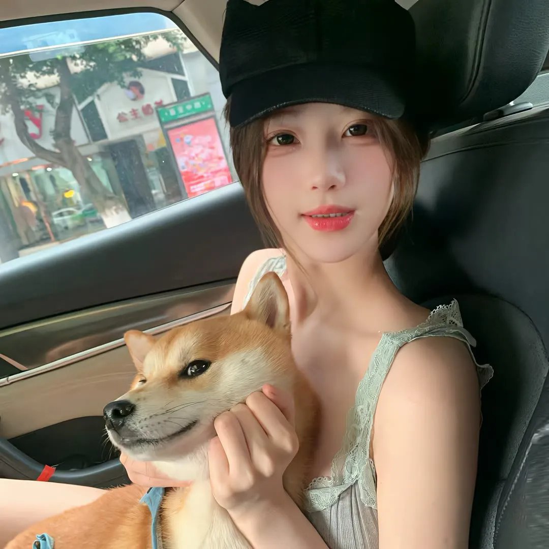 我的新野蛮女友